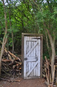 bizarre_forest_door